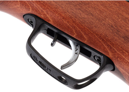 Gamo Hunter Big Cat Air Rifle