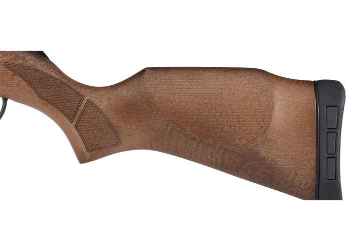 Gamo Hunter Big Cat Air Rifle
